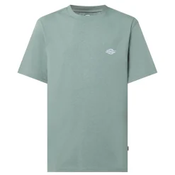New DICKIES Summerdale Logo T-Shirt