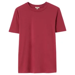 Clearance JIGSAW Supima Solid T-Shirt