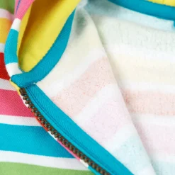 Switch Carbis Striped Hoodie