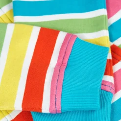 Switch Carbis Striped Hoodie