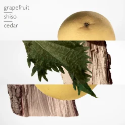 Terre d'Hermès Parfum 75ml