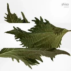 Terre d'Hermès Parfum 75ml