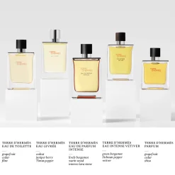 Terre d'Hermès Parfum 75ml