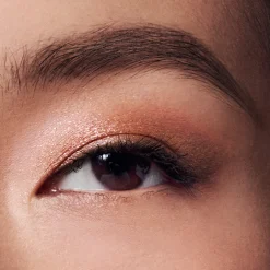 The Essential Eyeshadow Quad