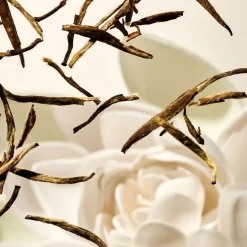 Online RITUALS The Ritual of Karma Concentrated Refill Hand Wash