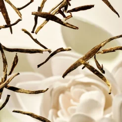 The Ritual of Karma Overnight Body Mask