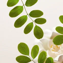 Outlet RITUALS The Ritual of Namaste Gentle Cleansing Foam