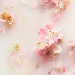 The Ritual of Sakura Concentrated Refill Hand Wash