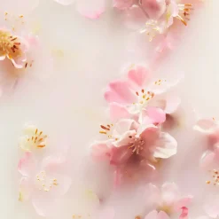 Clearance RITUALS The Ritual of Sakura Refill Fragrance Sticks