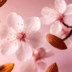 The Ritual of Sakura Shower Oil