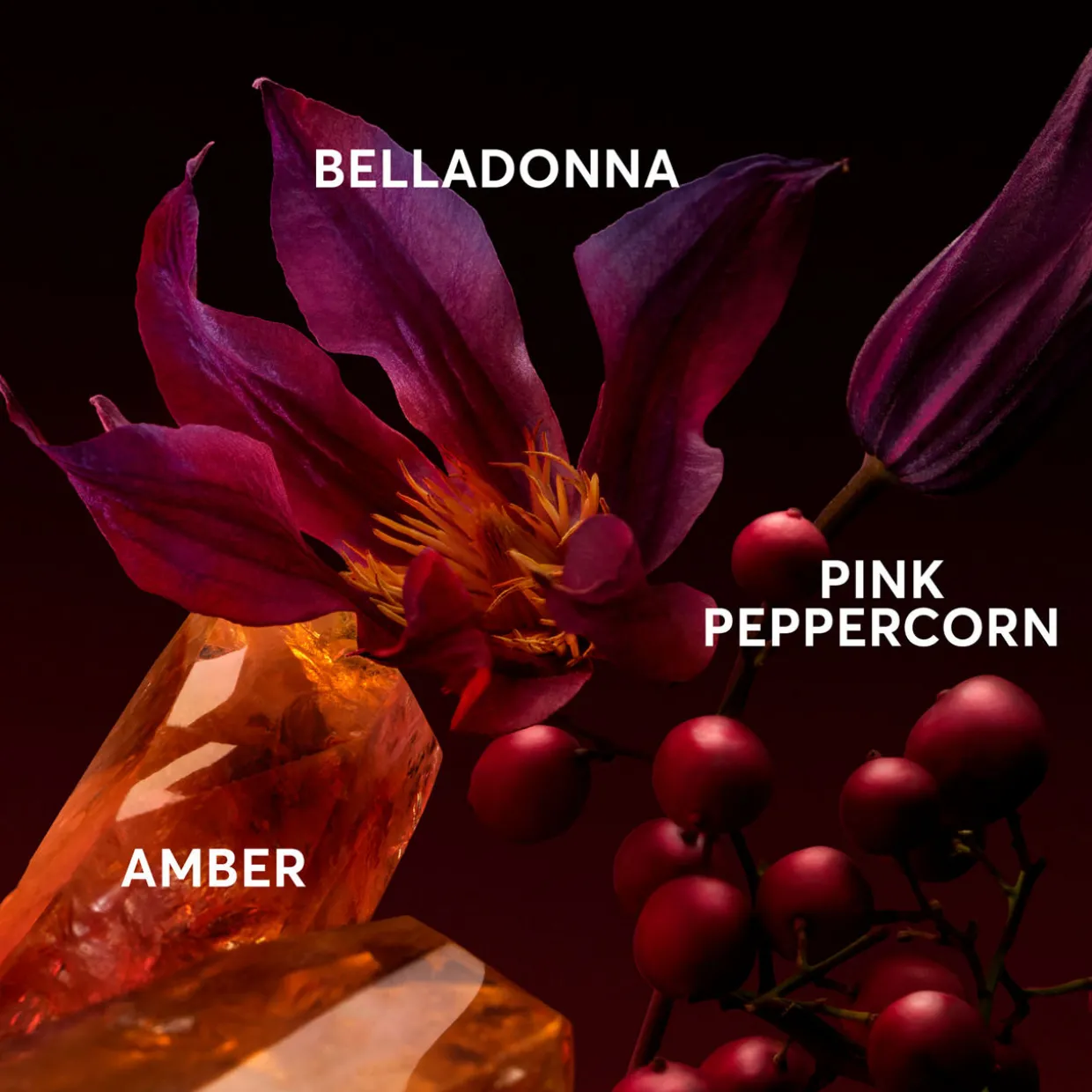 The Scent Elixir for Her EDP