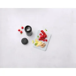 Outlet ZWILLING J.A. HENCKELS Thermo Tea & Fruit Infuser Bottle 420ml