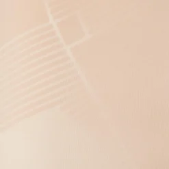 Thinstincts® 2.0 Medium Control Mid-Thigh Shorts