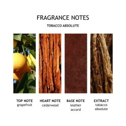 Tobacco Absolute Body Wash