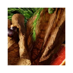 Tobacco Absolute Body Wash