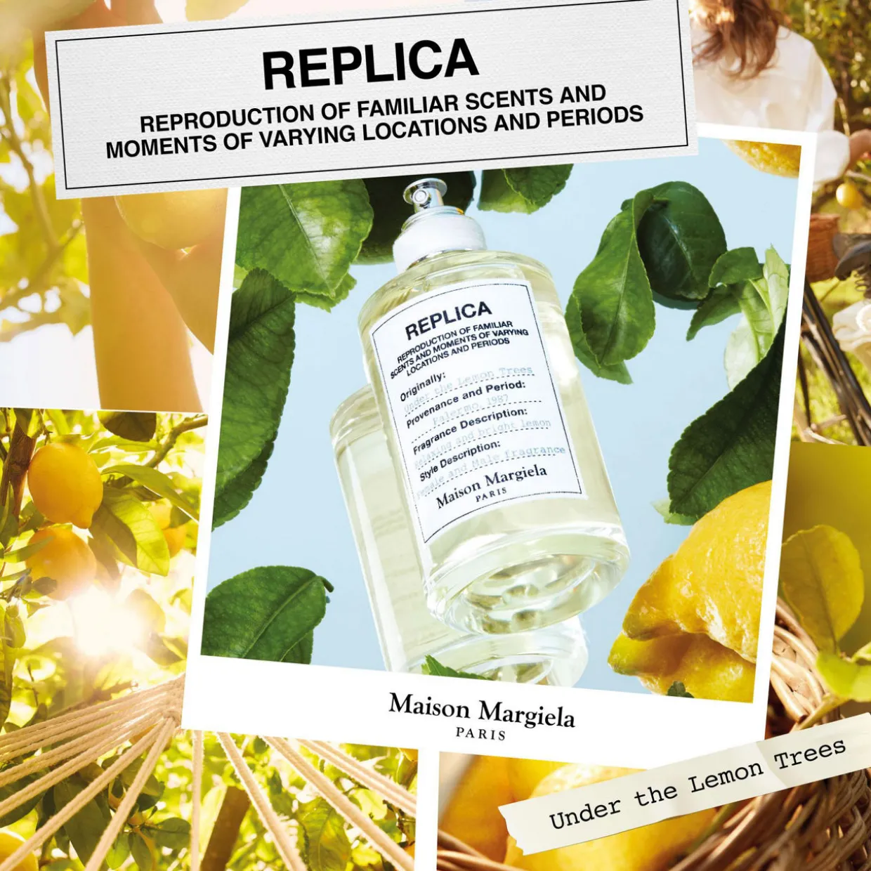 Under The Lemon Trees