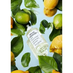 New MAISON MARGIELA Under The Lemon Trees