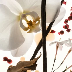 Fashion PHLUR Vanilla Skin EDP