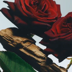 Fashion JO MALONE LONDON Velvet Rose & Oud Body & Hand Wash