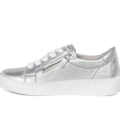 Wisdom Platform Trainers