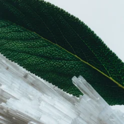 Outlet JO MALONE LONDON Wood Sage & Sea Salt Classic Candle