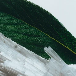 Outlet JO MALONE LONDON Wood Sage & Sea Salt Deluxe Candle