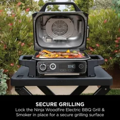 Online NINJA Woodfire Electric BBQ Grill Stand