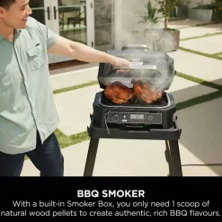 Woodfire Pro XL Electric BBQ Grill & Smoker with Smart Cook