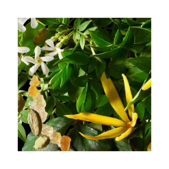 Ylang-Ylang Body Wash