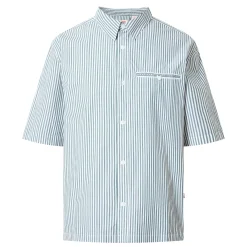 Clearance LEVIS Zandt Pinstripe Casual Shirt